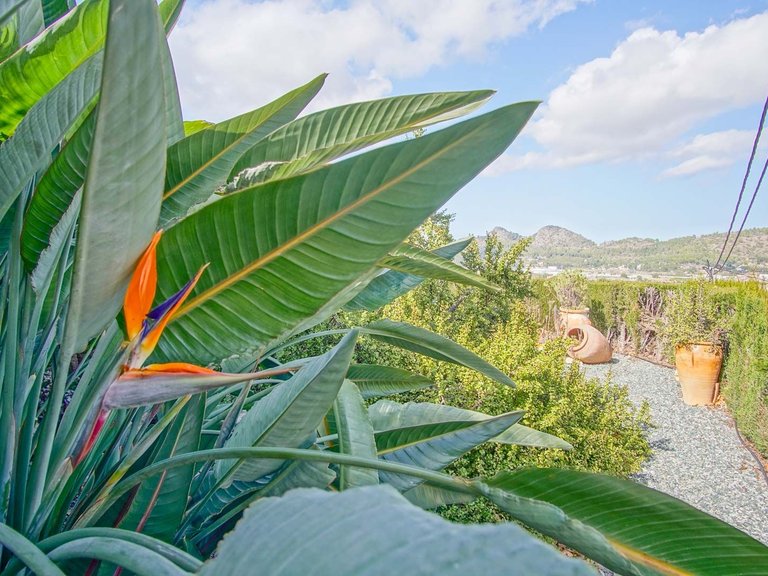 Villa for Sale in Centro, Pedreguer, Alicante 34