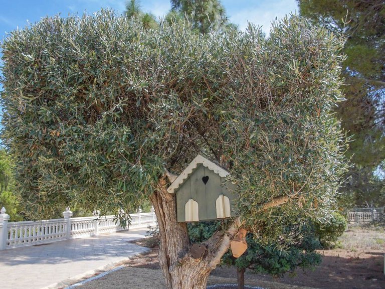 Villa for Sale in La Nucia Pueblo, La Nucía, Alicante 53