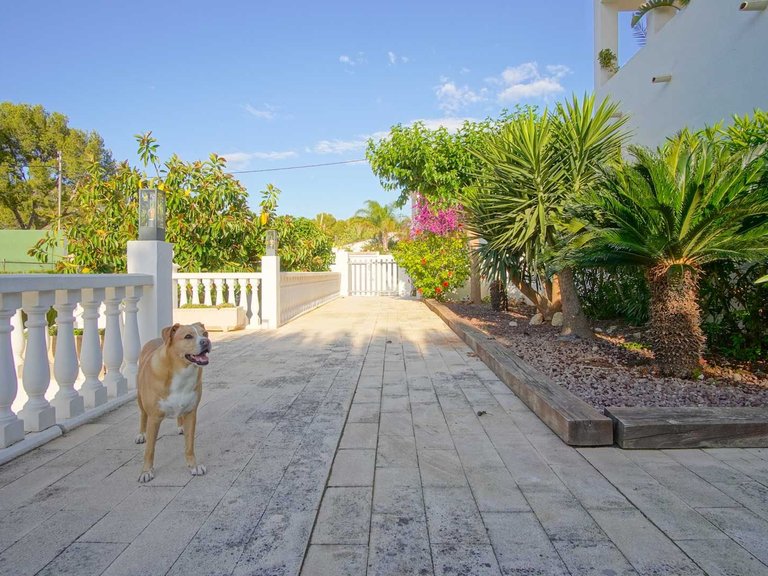 Villa for Sale in Las rotas, Denia, Alicante 35