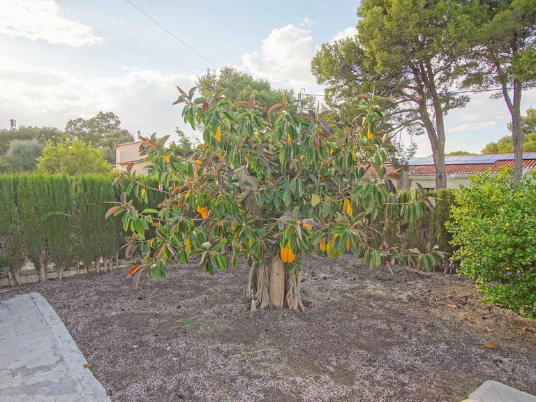 Villa for Sale in Las rotas, Denia, Alicante 45