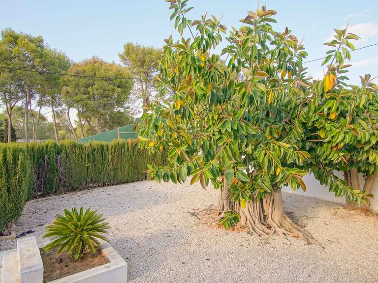 Villa for Sale in Las rotas, Denia, Alicante 46