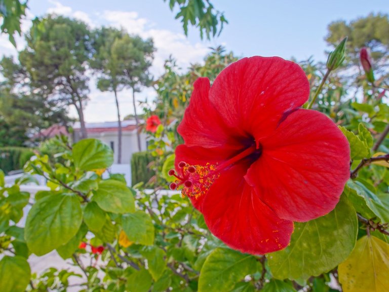 Villa for Sale in Las rotas, Denia, Alicante 49