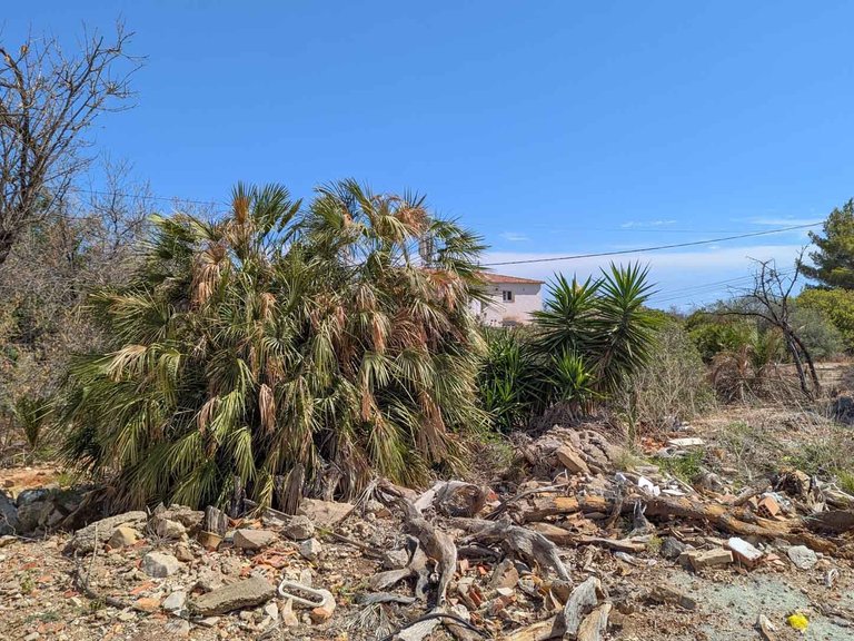 Plot for Sale in El Montgó, Denia, Alicante 1
