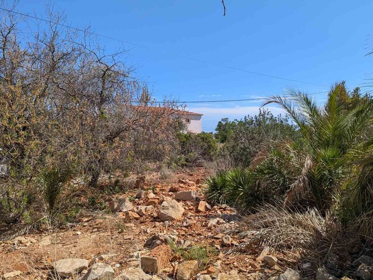 Plot for Sale in El Montgó, Denia, Alicante 3