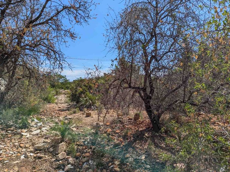 Plot for Sale in El Montgó, Denia, Alicante 4