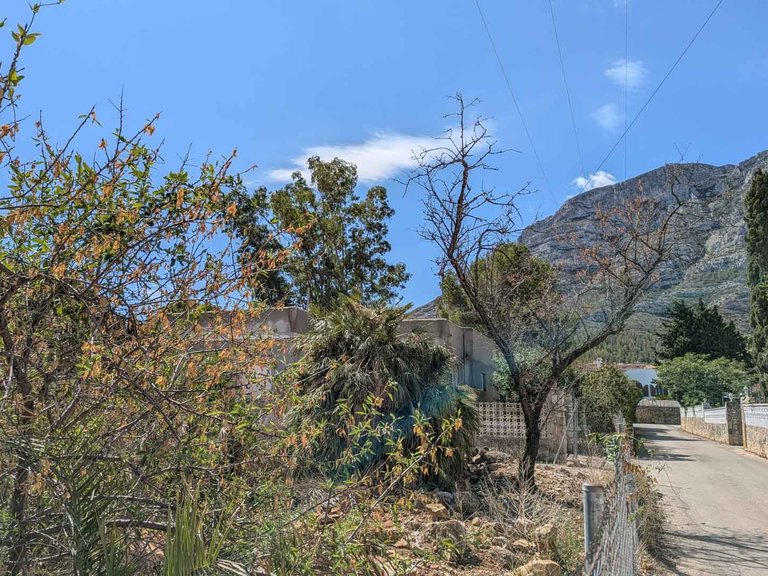 Plot for Sale in El Montgó, Denia, Alicante 5