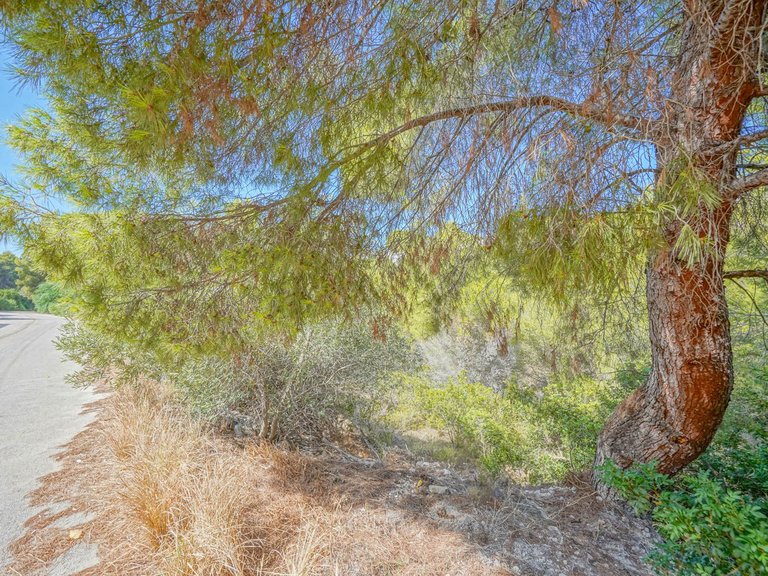 Plot for Sale in Benissa pueblo, Benissa, Alicante 25