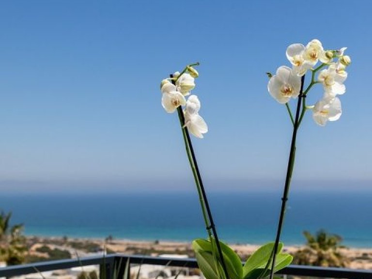 Apartment for Sale in Monte y Mar Alto, Gran Alacant, Alicante 20