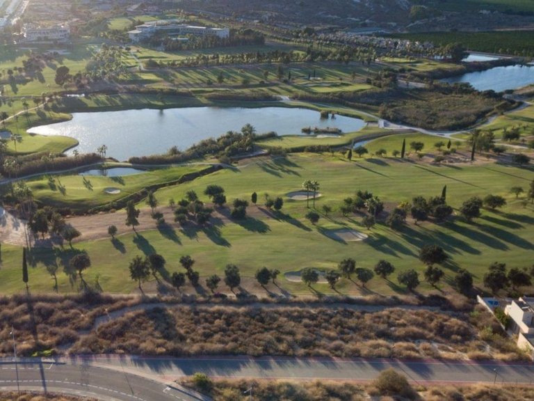 Villa for Sale in Comunidad valenciana, Algorfa, Alicante 18