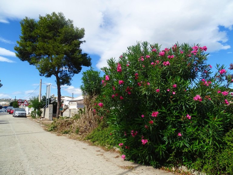 Plot for Sale in Teulada, Alicante 10