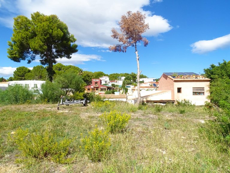 Plot for Sale in Teulada, Alicante 5