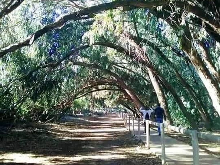 Villa for Sale in Aguas Nuevas, Torrevieja, Alicante 10