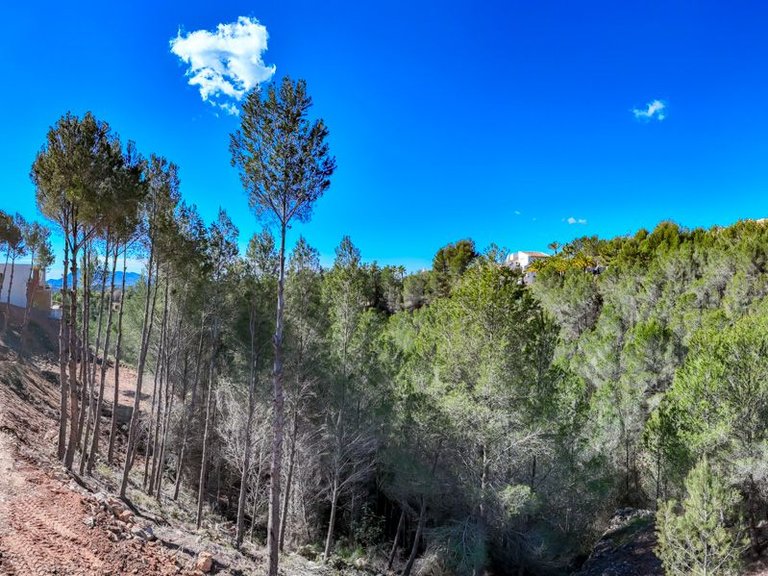 Plot for Sale in Altea la Vella, Altea, Alicante 29