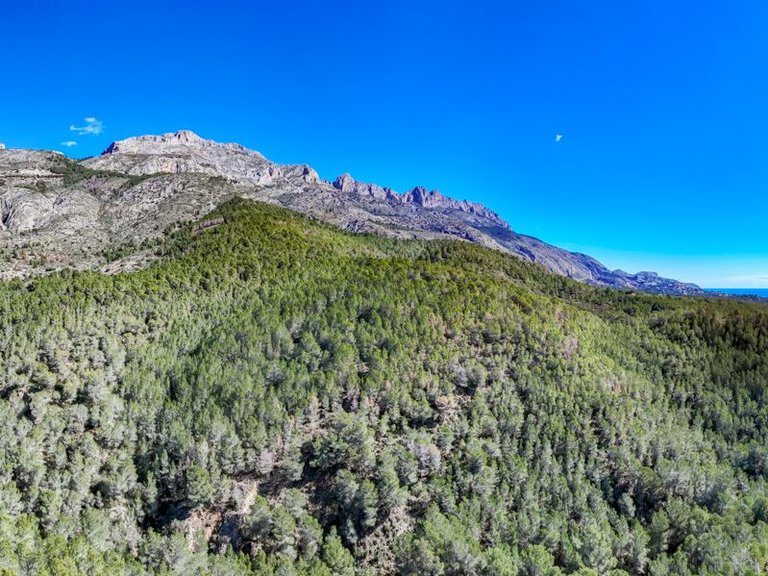 Plot for Sale in Altea la Vella, Altea, Alicante 35
