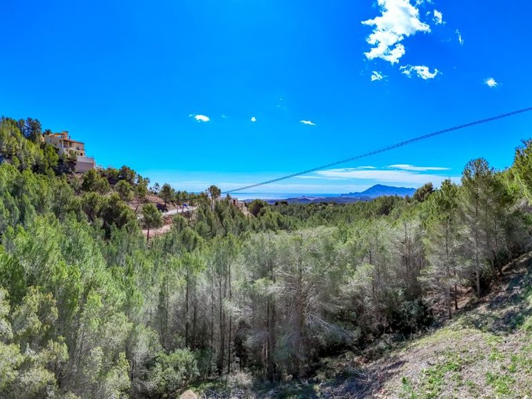 Plot for Sale in Altea la Vella, Altea, Alicante 39