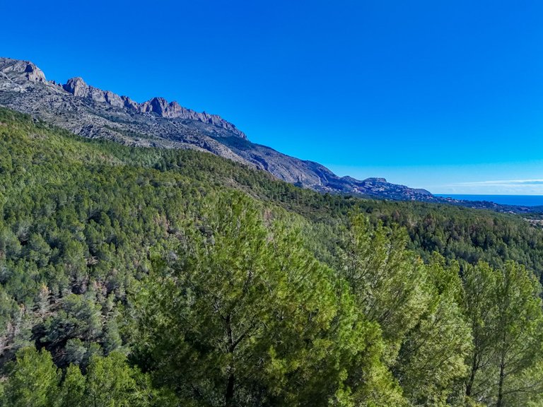 Plot for Sale in Altea la Vella, Altea, Alicante 42