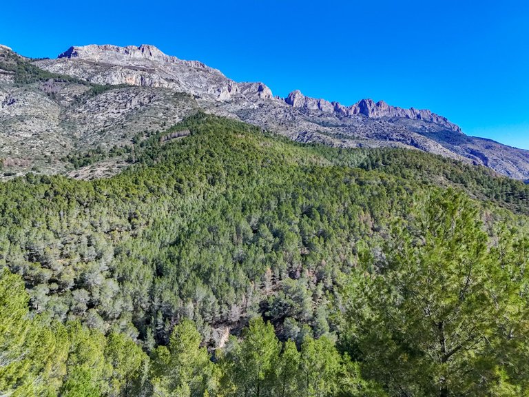 Plot for Sale in Altea la Vella, Altea, Alicante 45