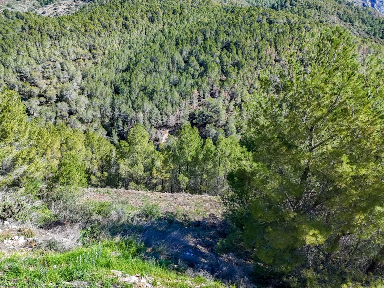 Plot for Sale in Altea la Vella, Altea, Alicante 46