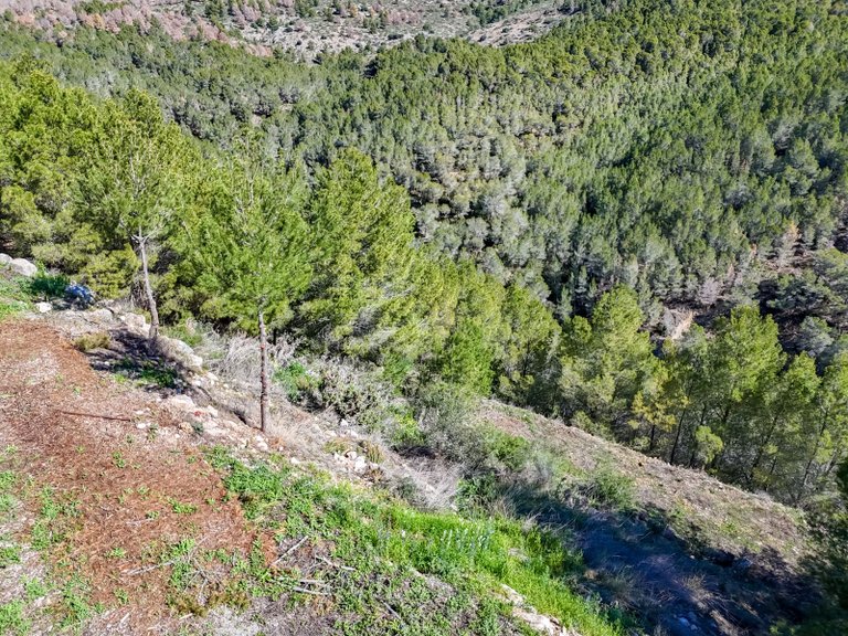 Plot for Sale in Altea la Vella, Altea, Alicante 47