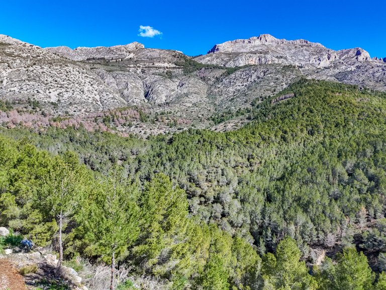 Plot for Sale in Altea la Vella, Altea, Alicante 48