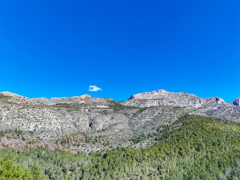 Plot for Sale in Altea la Vella, Altea, Alicante 49