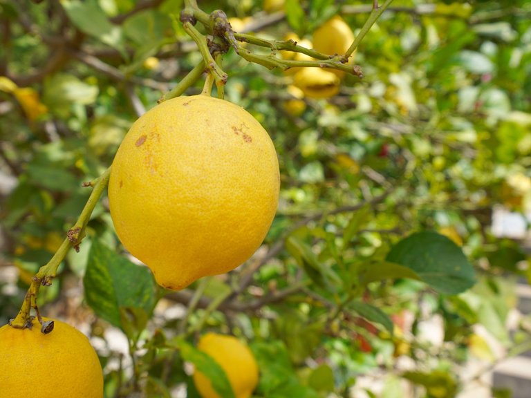 Villa for Sale in Benitachell  CUMBRES DEL SOL, Benitachell, Alicante 38