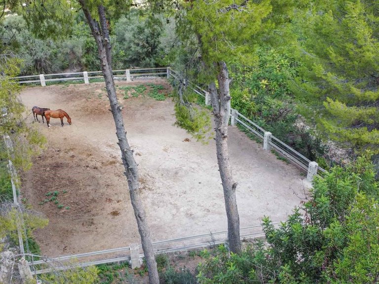 Villa for Sale in Comunidad valenciana, Orba, Alicante 37