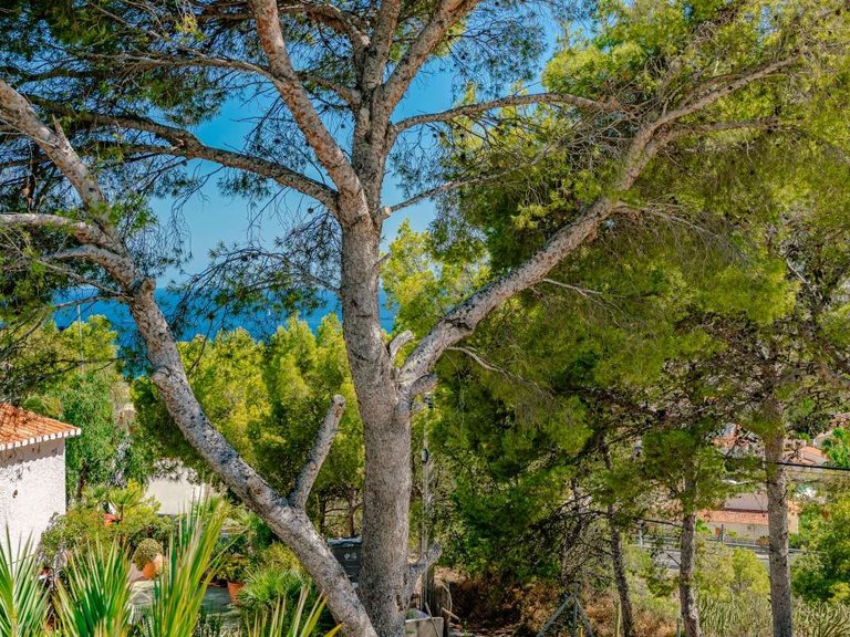 Villa for Sale in Calpe, Alicante 23