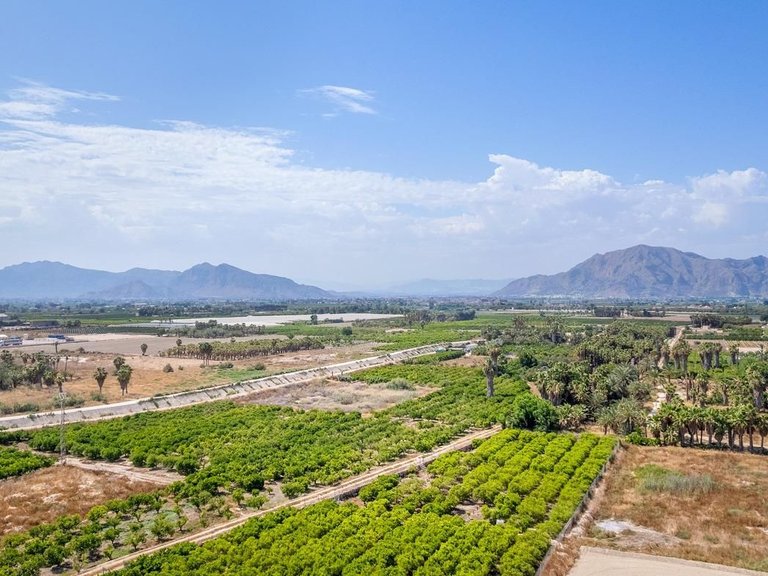 Apartment for Sale in Comunidad valenciana, Jacarilla, Alicante 26