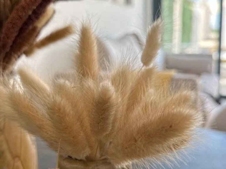 Villa for Sale in San fulgencio pueblo, San Fulgencio, Alicante 4