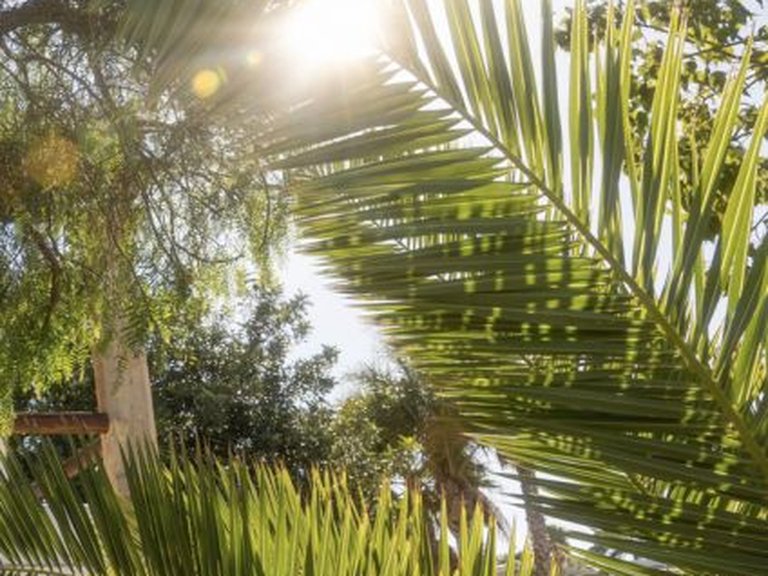 Villa for Sale in Cap Martí - Pinomar, Jávea - Xàbia, Alicante 57