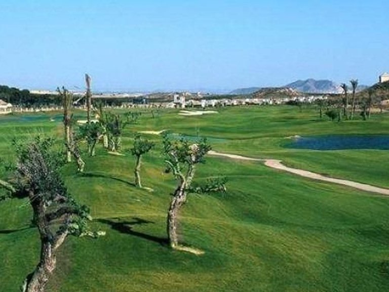 Villa for Sale in Jerónimo Y Avileses, Avileses, Murcia 7