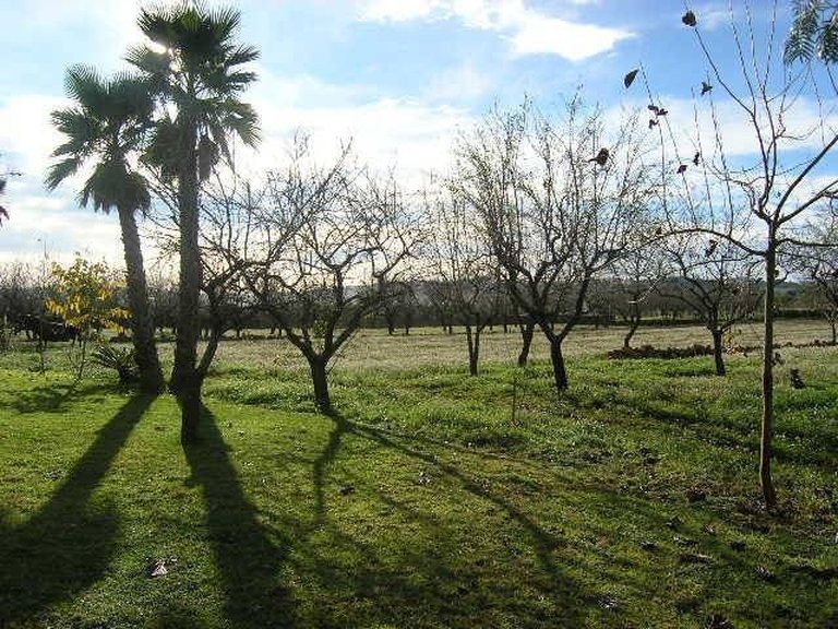 Villa for Sale in Comunidad valenciana, Senija, Alicante 8
