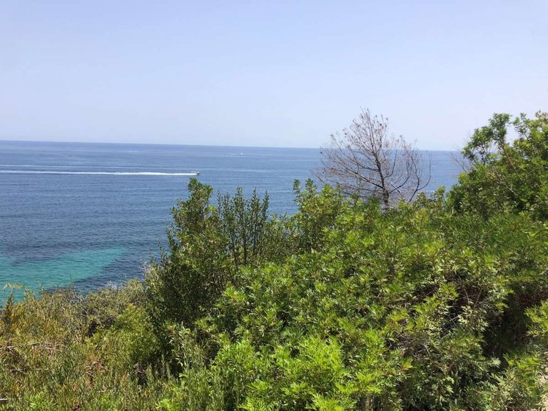 Apartment for Sale in Calpe, Alicante 3