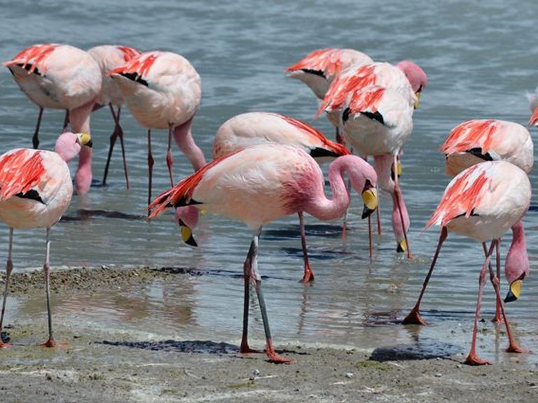 Villa for Sale in Saladar, Calpe, Alicante 5