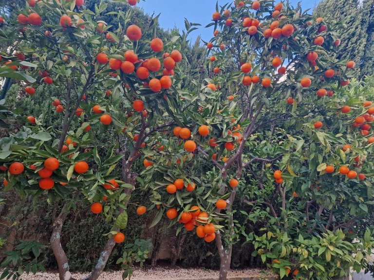 Villa for Sale in Benitachell, Alicante 36