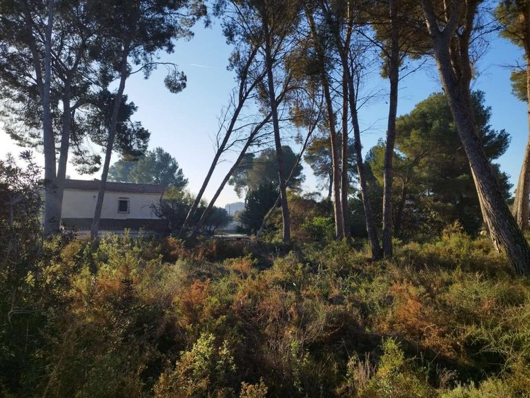 Villa for Sale in Pla del mar, Moraira, Alicante 1