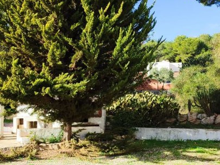 Villa for Sale in Pla del mar, Moraira, Alicante 12