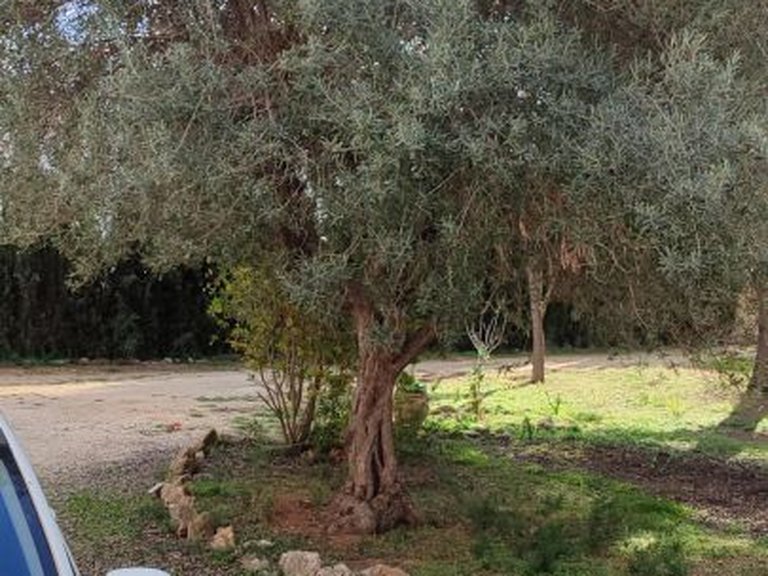 Villa for Sale in Pla del mar, Moraira, Alicante 16