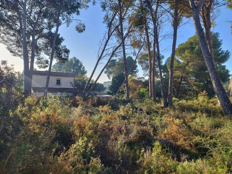 Villa for Sale in Pla del mar, Moraira, Alicante 3