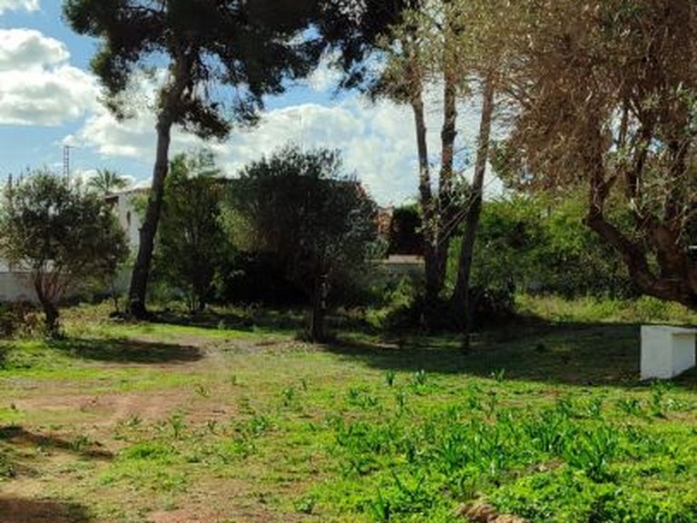 Villa for Sale in Pla del mar, Moraira, Alicante 4