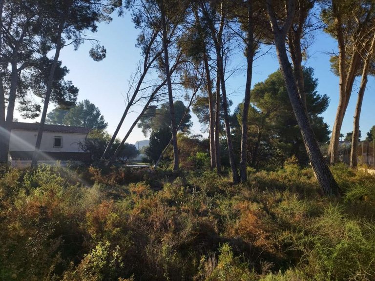 Villa for Sale in Pla del mar, Moraira, Alicante 5