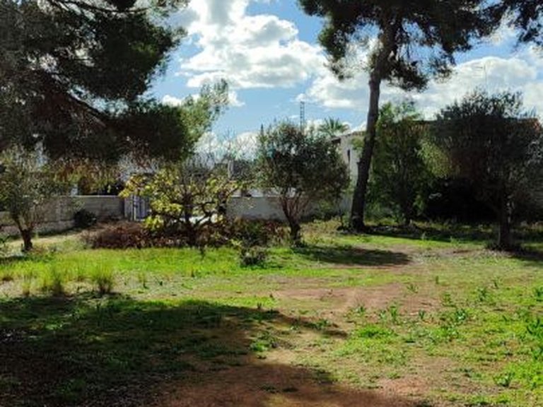 Villa for Sale in Pla del mar, Moraira, Alicante 6