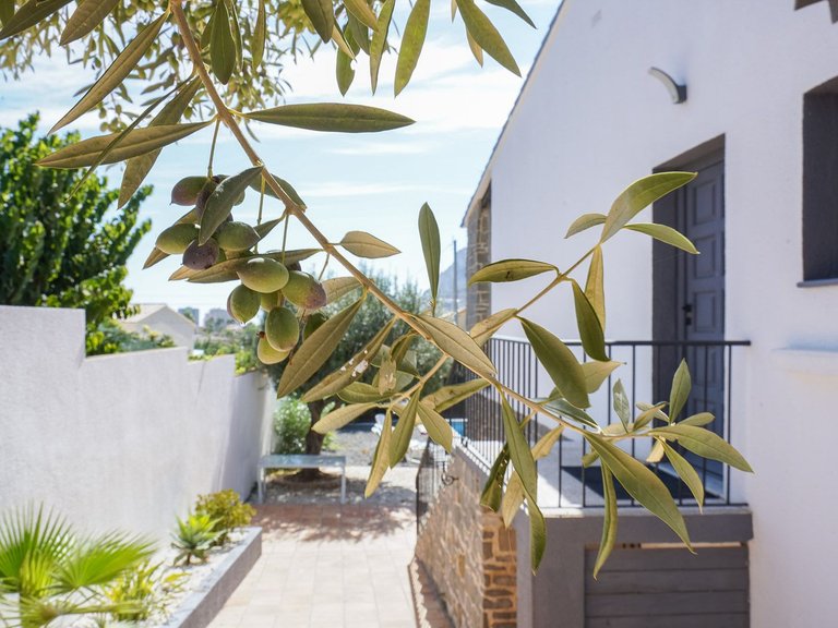 Villa for Sale in Benicolada, Calpe, Alicante 41