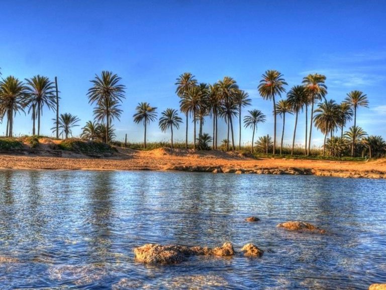 Apartment for Sale in Paseo maritimo, Torrevieja, Alicante 15