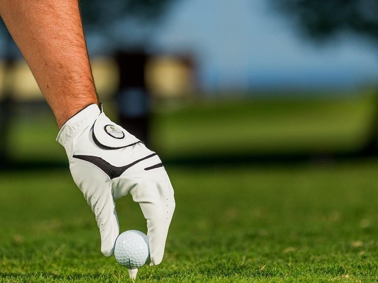 Villa for Sale in Lo Romero Golf, Pilar De La Horadada, Alicante 10