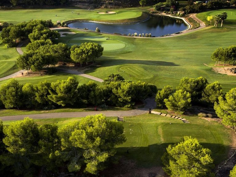 Villa for Sale in Lo Romero Golf, Pilar De La Horadada, Alicante 21