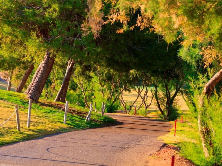 Villa for Sale in Lo Romero Golf, Pilar De La Horadada, Alicante 22