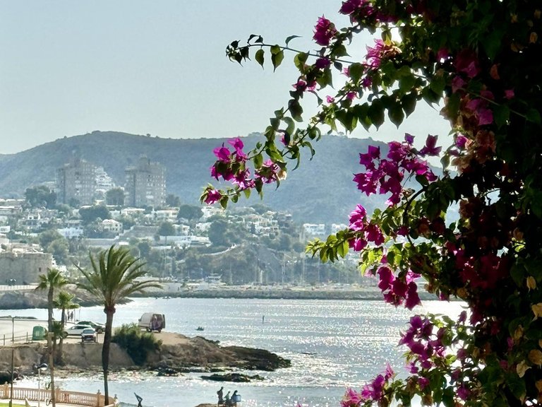 Villa for Sale in Benissa pueblo, Benissa, Alicante 32
