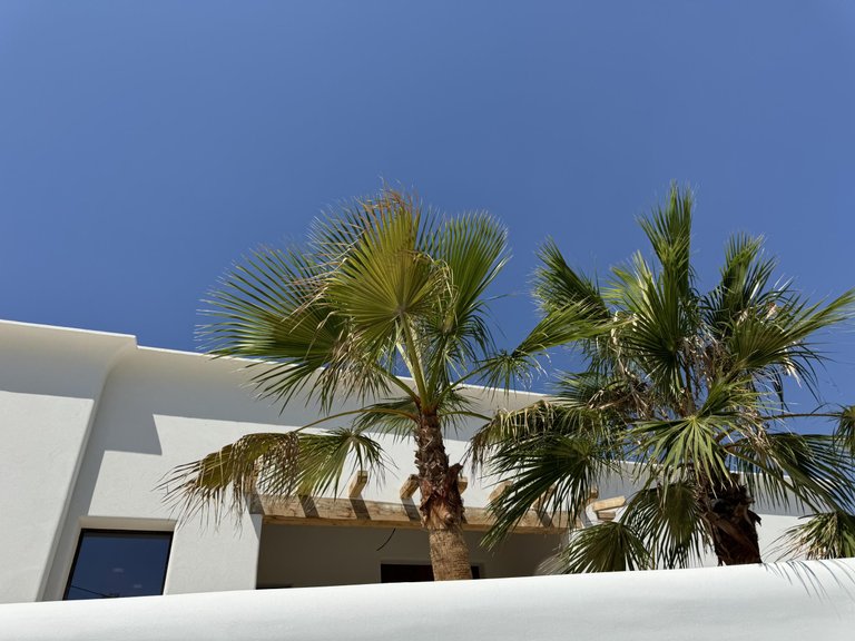 Villa for Sale in Benissa pueblo, Benissa, Alicante 36